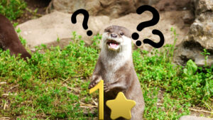 A puzzled otter with question marks around his head standing with a golden 1 star.